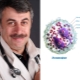 Dr. Komarovsky over eosinofielen