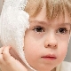 The algorithm of applying a warming compress on the ear of a child