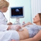 Ultrasound in the 10th week of pregnancy: fetal size and other features