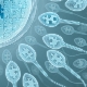 What is sperm pattern morphology, what norms exist and how to improve performance?