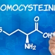 Ang rate ng homocysteine ​​kapag pinaplano ang pagbubuntis at ang mga sanhi ng deviations