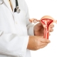 The length of the cervical canal during pregnancy and the causes of deviations