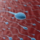 What is pyospermia and how does it affect conception?