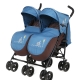 Stroller-cane for twins: a review of models and tips on choosing