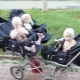 Strollers for triplets: a review of models and tips on choosing