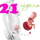 Fetal development in the 21st week of pregnancy