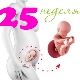 Desarrollo fetal en la semana 25 de gestación.