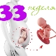 Desarrollo fetal a las 33 semanas de gestación.