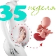 Fetal development in the 35th week of pregnancy