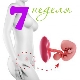 Fetal development in the 7th week of pregnancy