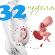 Weight and other parameters of the fetus at 32 weeks gestation