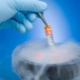 Ano ang cryopreservation ng mga embryo at bakit kailangan ito?