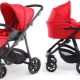 Strollers for newborns 2 in 1: features and subtleties of choice