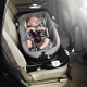 Features of the choice of carrying for newborns in the car