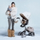 Strollers for winter: an overview of the most popular models