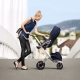 Strollers: varieties of shapes and subtleties of choice