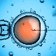 All statistics on IVF: from the probability of pregnancy from the first time to the percentage of complications