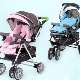 Stroller Jetem: soorten en regels naar keuze