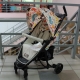 Happy Baby strollers: opis i kryteria wyboru, zalety i wady