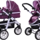 Sweet Baby Strollers: modelos populares y consejos para elegir