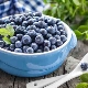 At what age can blueberries be given to children?