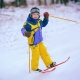 Mga bata ng skis: mga pagkakaiba-iba at pamantayan ng pagpili