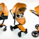 Foo Foo stroller: model range and tips for choosing