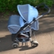 Dauphin-Kinderwagen: Funktionen und beliebte Modelle