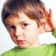 Hearing impaired children: education, hearing aids and rehabilitation