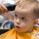 Babys erster Haarschnitt: Können Haare bis zu einem Jahr geschnitten werden?