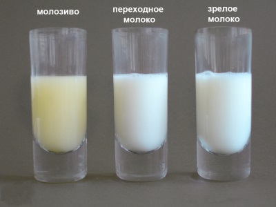 Aparición de la leche materna.