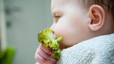 Steamed broccoli for baby