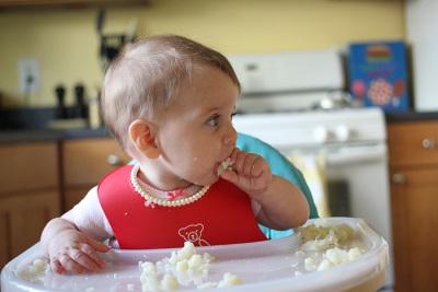 Coliflor para niños