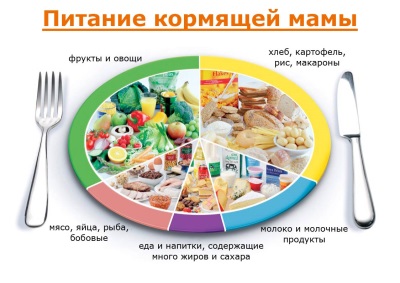 Nutrition of nursing mom - structure and composition