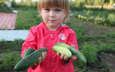 Cetriolo che mangia un bambino