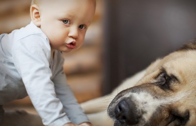 Child with a dog