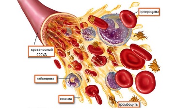 Eritrociti, leucociti e piastrine