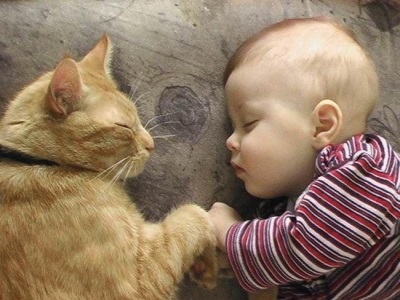 Bambino e gatto