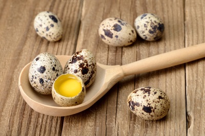 Quail eggs