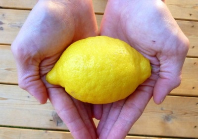 Lemon in hand