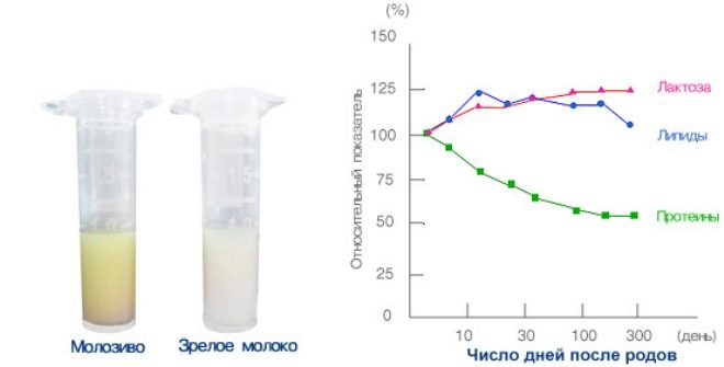 Colostrum and breast milk