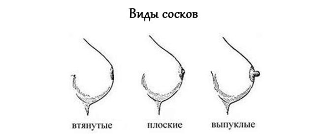 Types of breast nipple