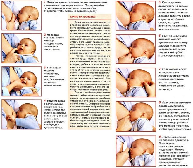 Fasi di allattamento al seno