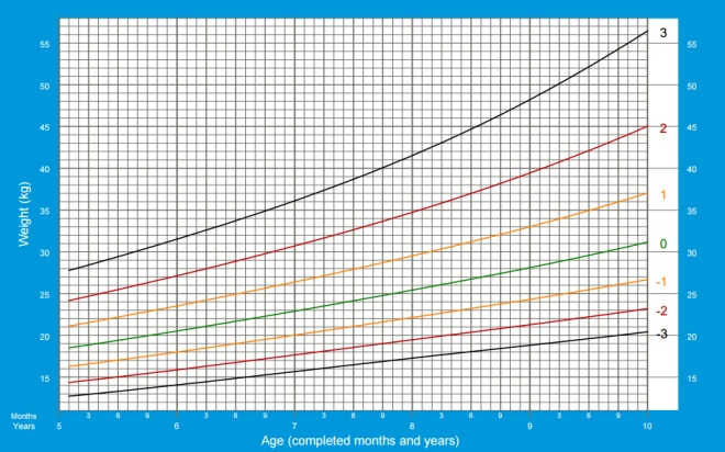 Boys weight from 5 to 19 years WHO