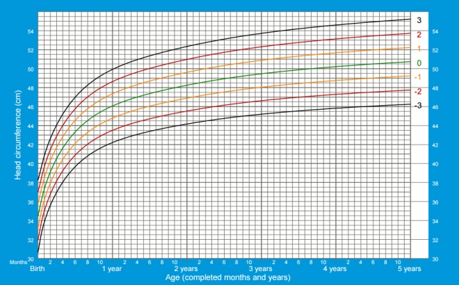 Obwód głowy chłopców od urodzenia do 5 lat